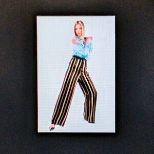 AGLINI ITALY NWT pants Size 40 or 27 -28 STUNNING QUALITY fabric $160US OFFICE